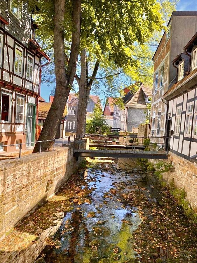 Ferienhaus Zur Abzuchtinsel Гослар Экстерьер фото